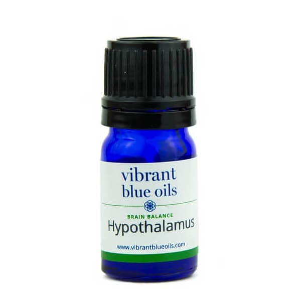 Brain-Balance-Hypothalamus