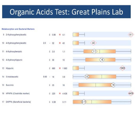 organic acid test