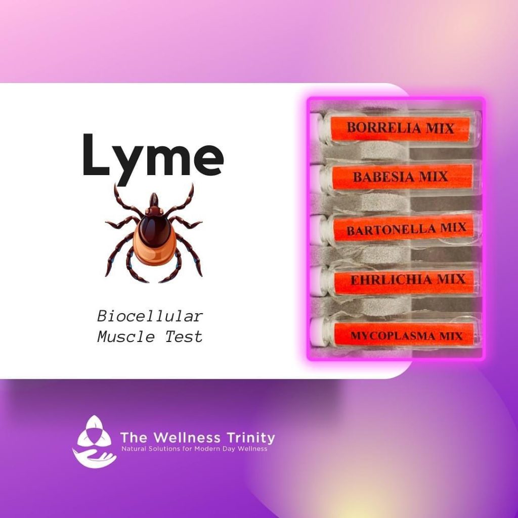 the wellness trinit lyme disease