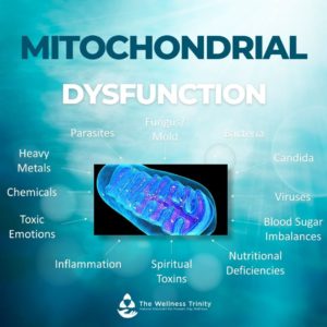 the wellness trinity mitochondrial