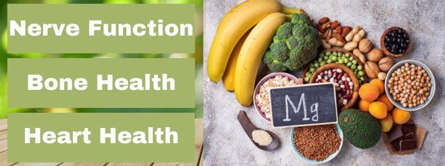 magnesion blog header