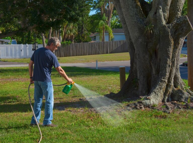 homeowner,man,spraying,weed,killer,on,his,front,yard,with