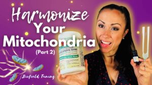 harmonize your mitochondria