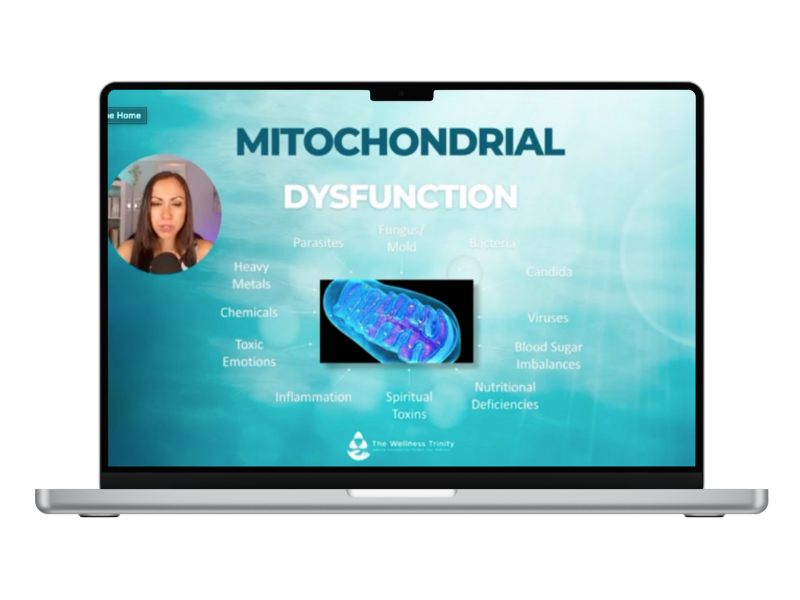mitochondria-disfuntion